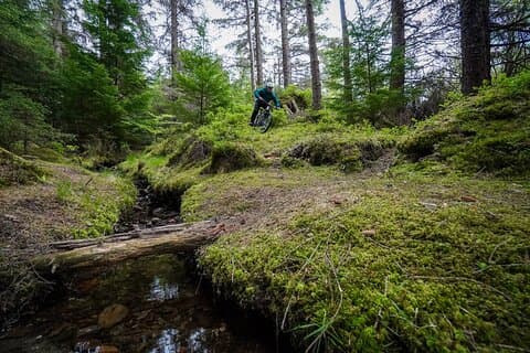 Private Guided Mountain Bike Adventure in Balquidder