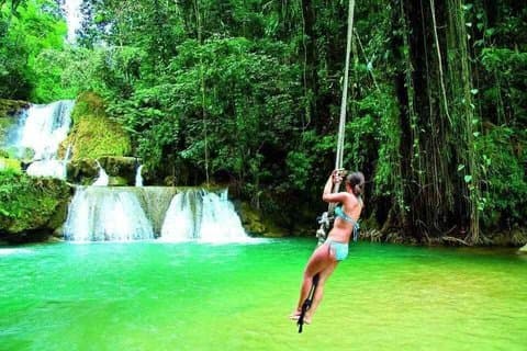South Coast Tour to YS Falls, Black River Safari and Appleton Rum