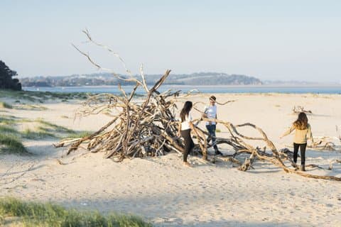 メルボルンプライベートツアー：ブヌロンコーストとペンギンパレード