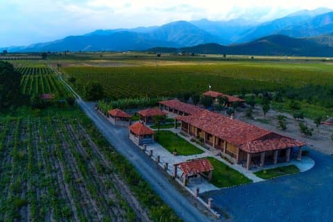 Wine Tasting, Culinary master class & dinner