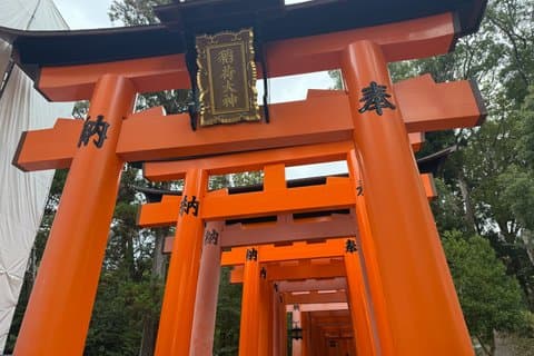 Authentic Walking Tour of Kyoto