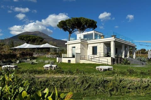 Pompeii Small Group Tour & Food/Wine tasting at Mt. Vesuvius