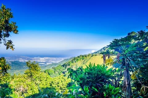 Minca Nature & Coffee Escape: tour privato a terra da Santa Marta