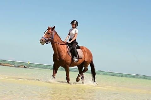 ベルオンブルビーチで1時間のコースホースライド