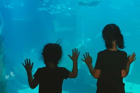 Family in Lisbon Oceanarium and Museum of Science and Teleférico