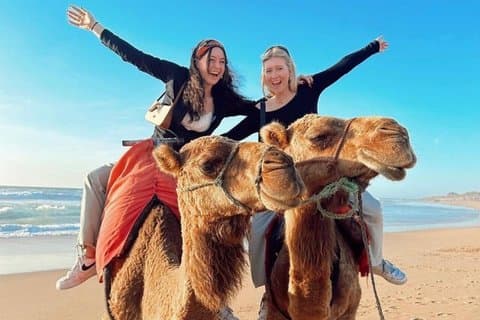 Lyxig all-inclusive privat dagstur från Malaga till Tanger
