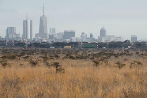 Nairobi Nationaal Park Halve dag rondleiding met gratis WiFi