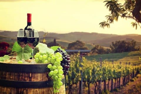 Private Ronda winery day trip from Cordoba