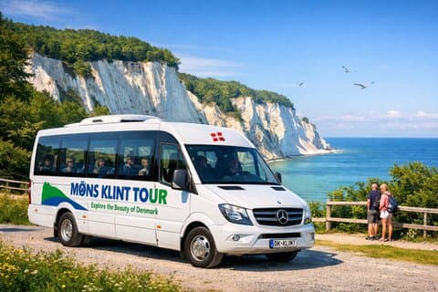 Møns klint et la tour de la forêt - Une excursion d'une journée au départ de Copenhague