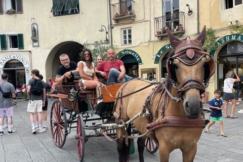 Lucca Classic – Koetsrit door het historische centrum