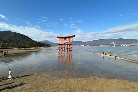 Hiroshima og Miyajima Private Engelsk tur