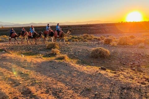 Marrakech: Camel Ride, Cooking Class & Collagen Spa in Agafay