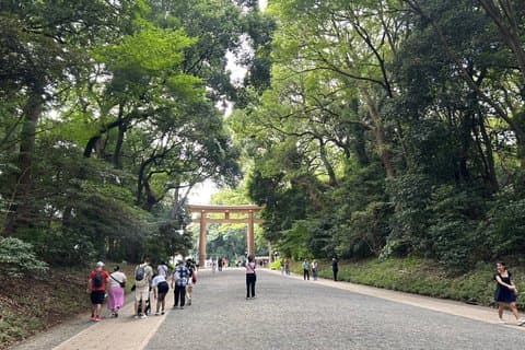 Tour privato della città di Tokyo con Guida parlante Spagnolo