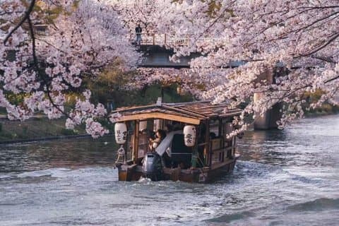 Osaka Private Highlights Tour kan tilpasses med Engelsk sjåfør