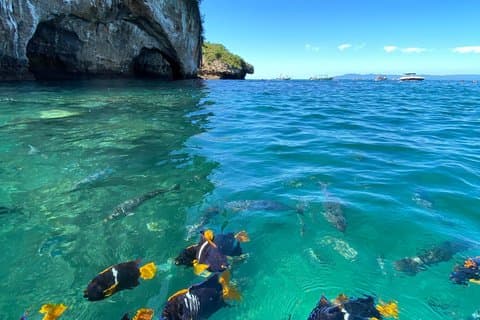 Snorkeling at Islands The Arches of Mismaloya from Los Muertos Beach