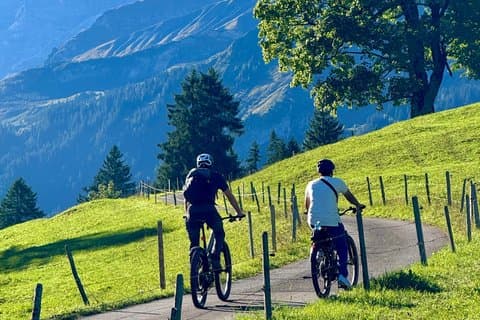 Griesalp UNESCO Alpine E-Bike Adventure fra Interlaken