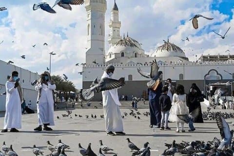Tour storico della Medina VIP Moschea di Mount Uhud Quba e altro
