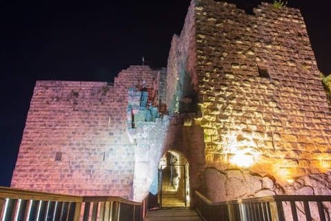 Timeless North Jordan — Jerash, Ajloun & Umm Qais Tour from Amman