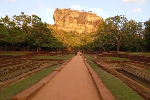 Sigiriya og Dambulla Privat Dagstur med Safari fra Colombo