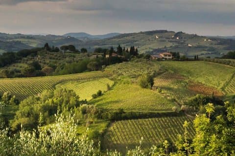 Toscana Truffle Hunt: Et kulinarisk eventyr