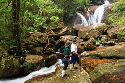 From Colombo/Kalutara/Bentota: Sinharaja Rain Forest Guided Tour