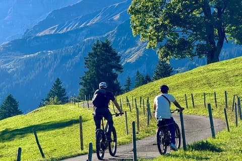 PRIVATE E-バイクツアーインターラーケンからグリーサルプ・ウネスコ・アルペンライド