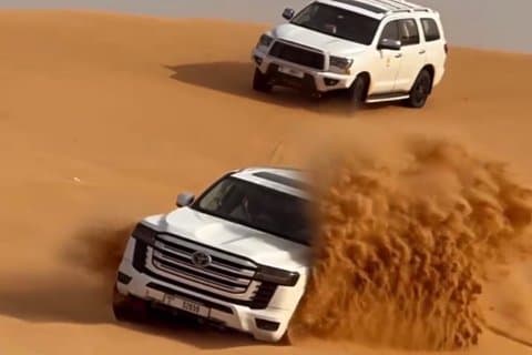 Safari privado por la mañana en el desierto