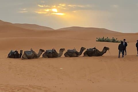 Nuit à Merzouga avec coucher de soleil inoubliable et balade en chameau/quad