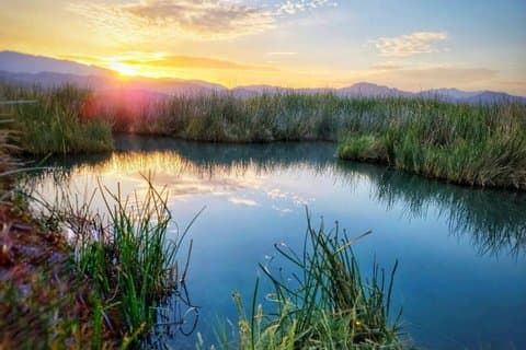 Las Vegas Hot Springs Escape en Jeep (Private 4 - Hour Experience)