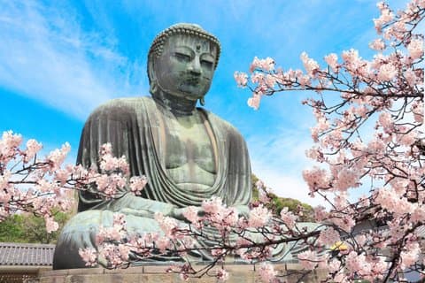 Kamakura, Enoshima or Yokohama 1-Day Bus Tour from Tokyo