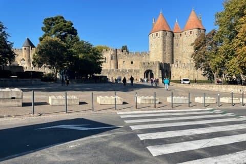 Private Shore Excursion to Narbonne and Carcassonne from Sète