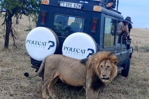 3 - Private Luxus Safari : Serengeti & Ngorongoro ab Arusha