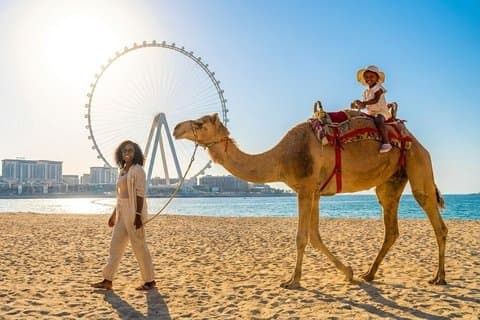 Camel Ride Along JBR Beach com vistas de Dubai