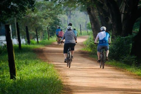 Tour de ciclismo de 14 dias em Sri Lanka, cultura e paisagem