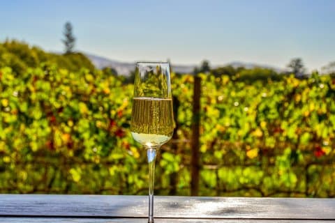 Franschhoek Wine Valley: Privat strandtur från Kapstadens hamn