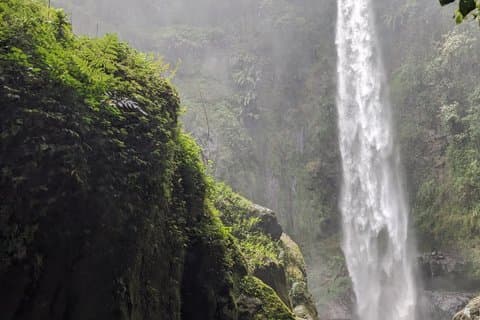 Best & Top of Arusha: Town Tour, Napuru waterfall & Coffee Tour