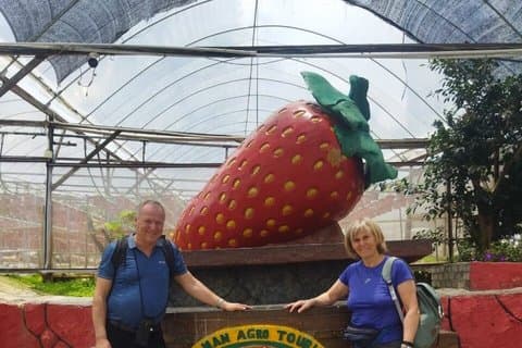 Cameron Highland dagstur fra Kuala Lumpur