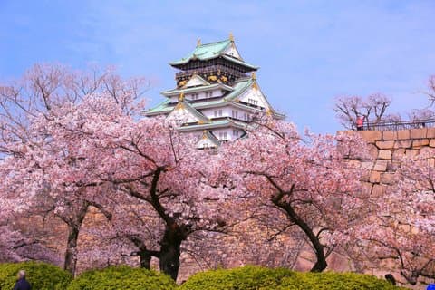 Osaka Castle Historical Private Tour