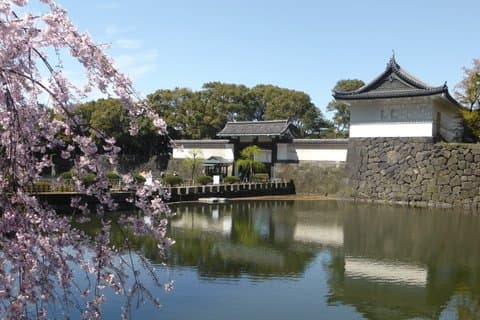 Tour privato del Palazzo Imperiale di Tokyo e del patrimonio del Castello di Edo