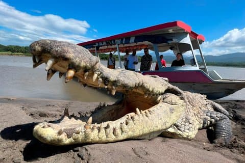 Crocodile Man Tour - den opprinnelige Tarcoles River opplevelse