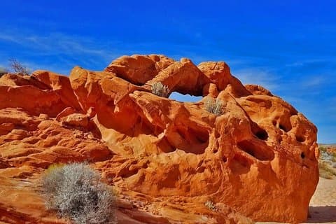 Tour guidato di un giorno del Valley of Fire State Park a Las Vegas