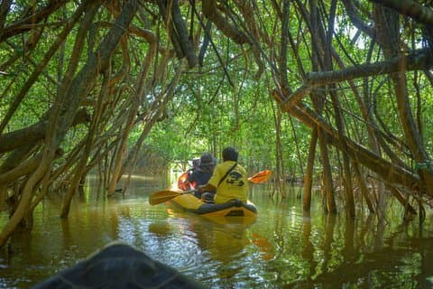 Hoteller i nærheden af Khao Lak Little Amazon Canoe and Wat Khongkha