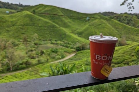 Cameron Highlands Fullday Discovery Package B Shared Tour