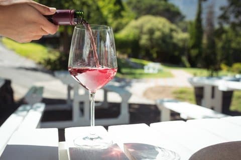 Tour privato a terra: esperienza di vino, olive e mele nella valle di Elgin