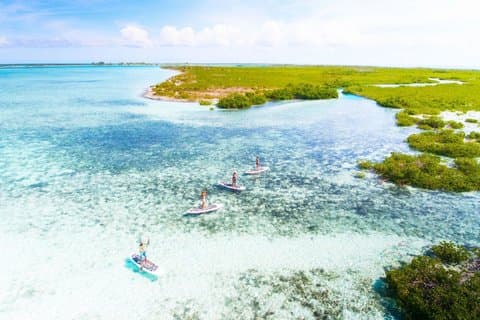 Hotell i nærheten av Turtle Cove Kayaking Experience Leeward