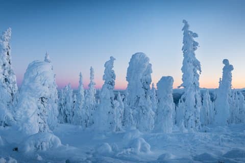 Arctic Circle & Northern Lights - Dalton Highway Winter Tour