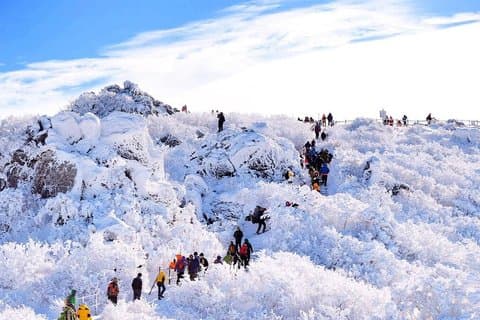 Muju Deogyusan Snow Hiking & Ski Tour from Busan