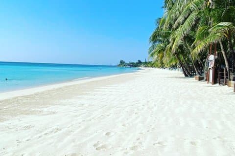 Roatan West Bay & West End Beach Passes de transporte e resort