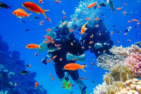 Sharm El Sheikh : Bootsfahrt auf der Weißen Insel & Ras Mohammed mit Mittagessen
