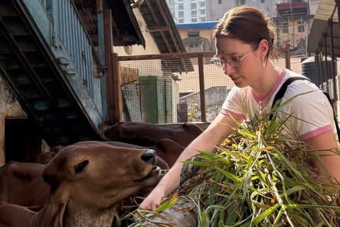 Mumbai Market and Temple Tour With Cow Shelter Visit